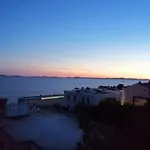Sepcevic * 무르테르