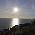 Sepcevic 무르테르