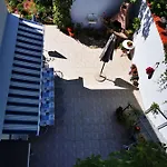 Sepcevic 무르테르