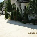 Sepcevic 무르테르