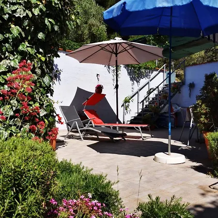 Sepcevic Apartment