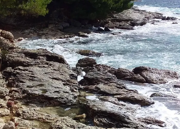 Apartment Sepcevic Murter