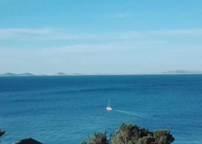 Sepcevic Apartment *